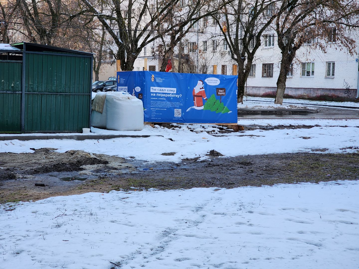раменское, экология, акция по сбору старых живых новогодних елей,