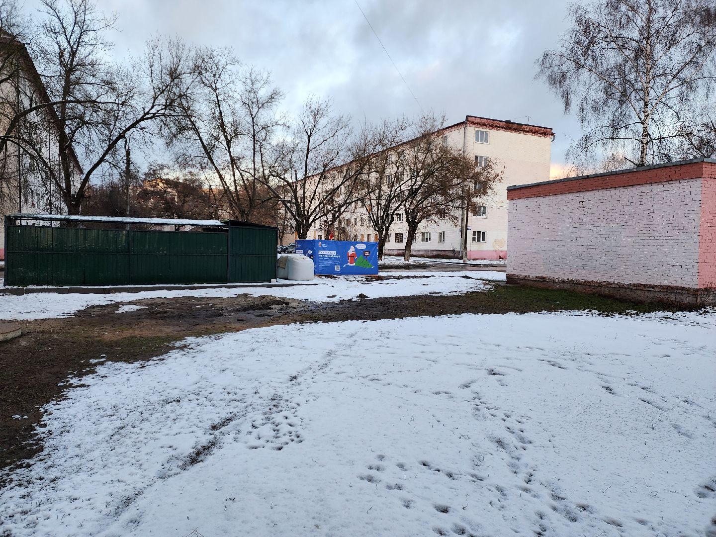 раменское, экология, акция по сбору старых живых новогодних елей,