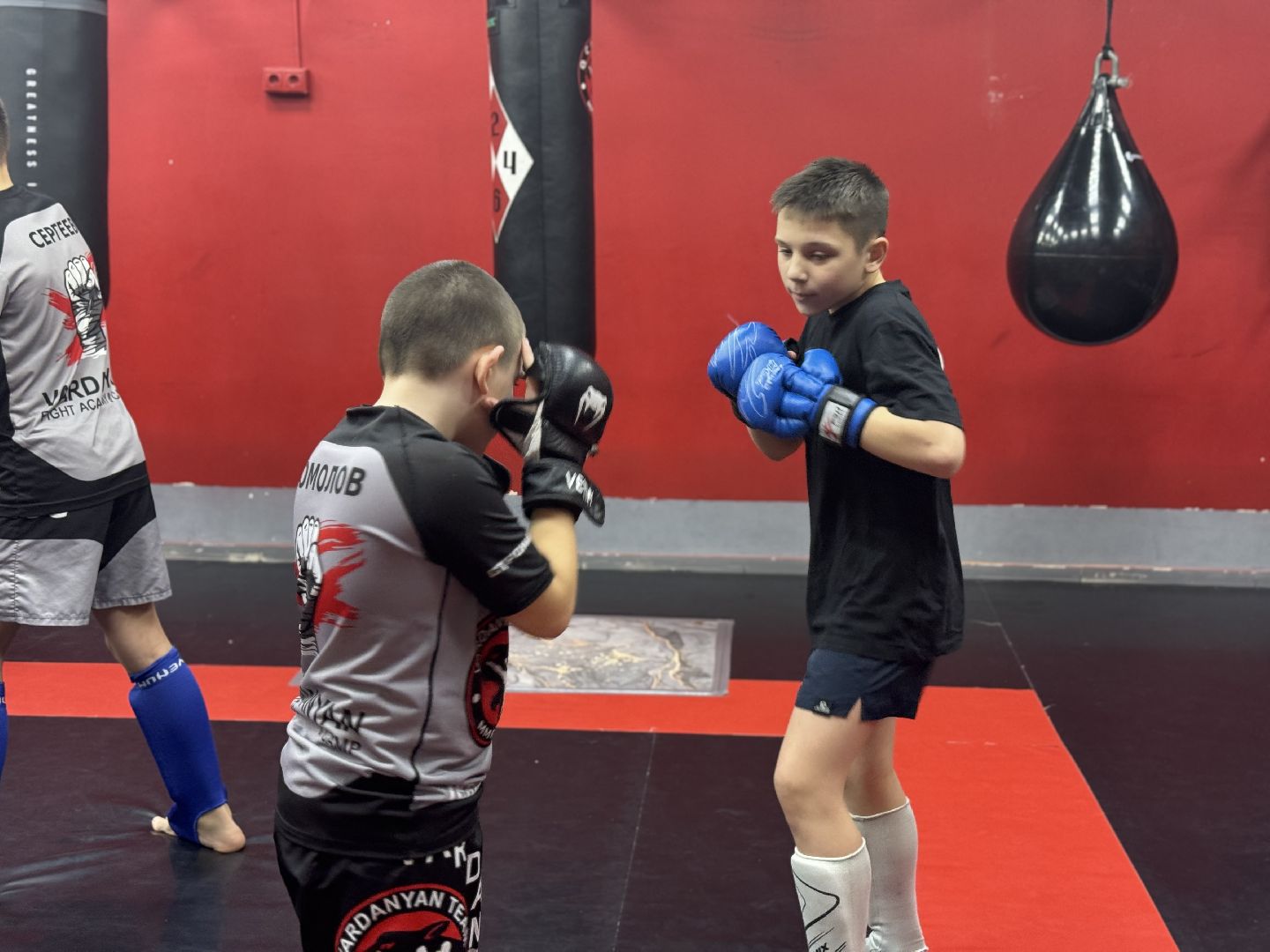 смешанные единоборства, боевое самбо, спорт, Юный чемпион, Чемпионат России по самбо, мма, Чемпионский пояс,