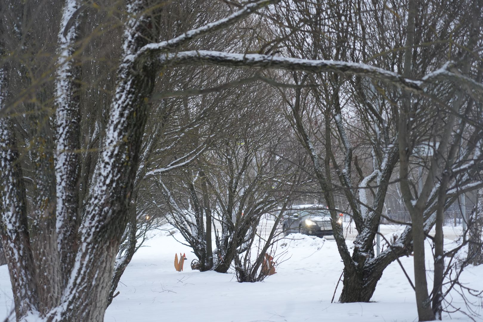 общество, сергиев посад, сергиево-посадский городской округ, благоустройство, арт-объект,