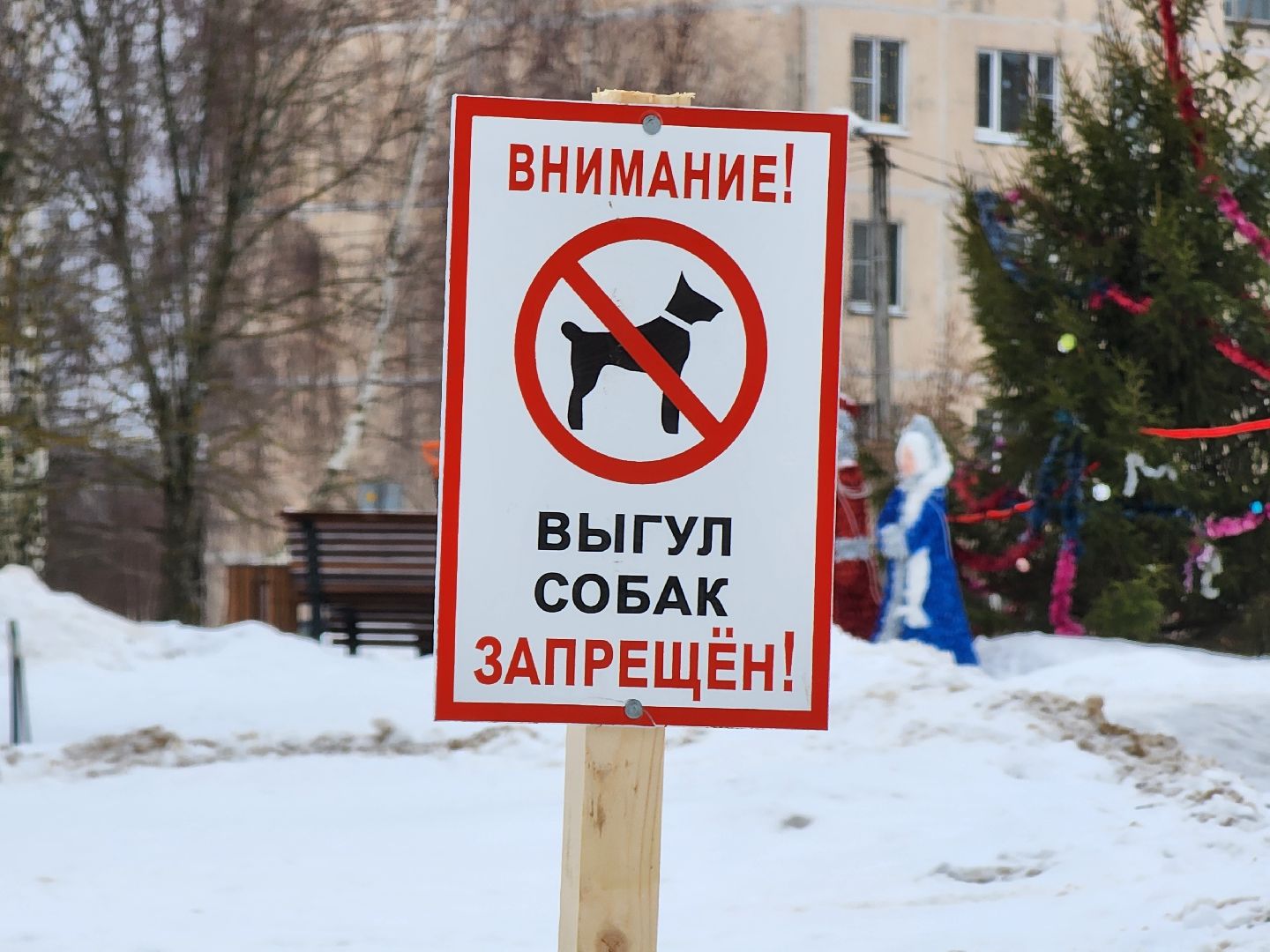 колюбакино, сквер солнышко, руза, благоустройство, выгул домашних животных, рузский городской округ, московская область,