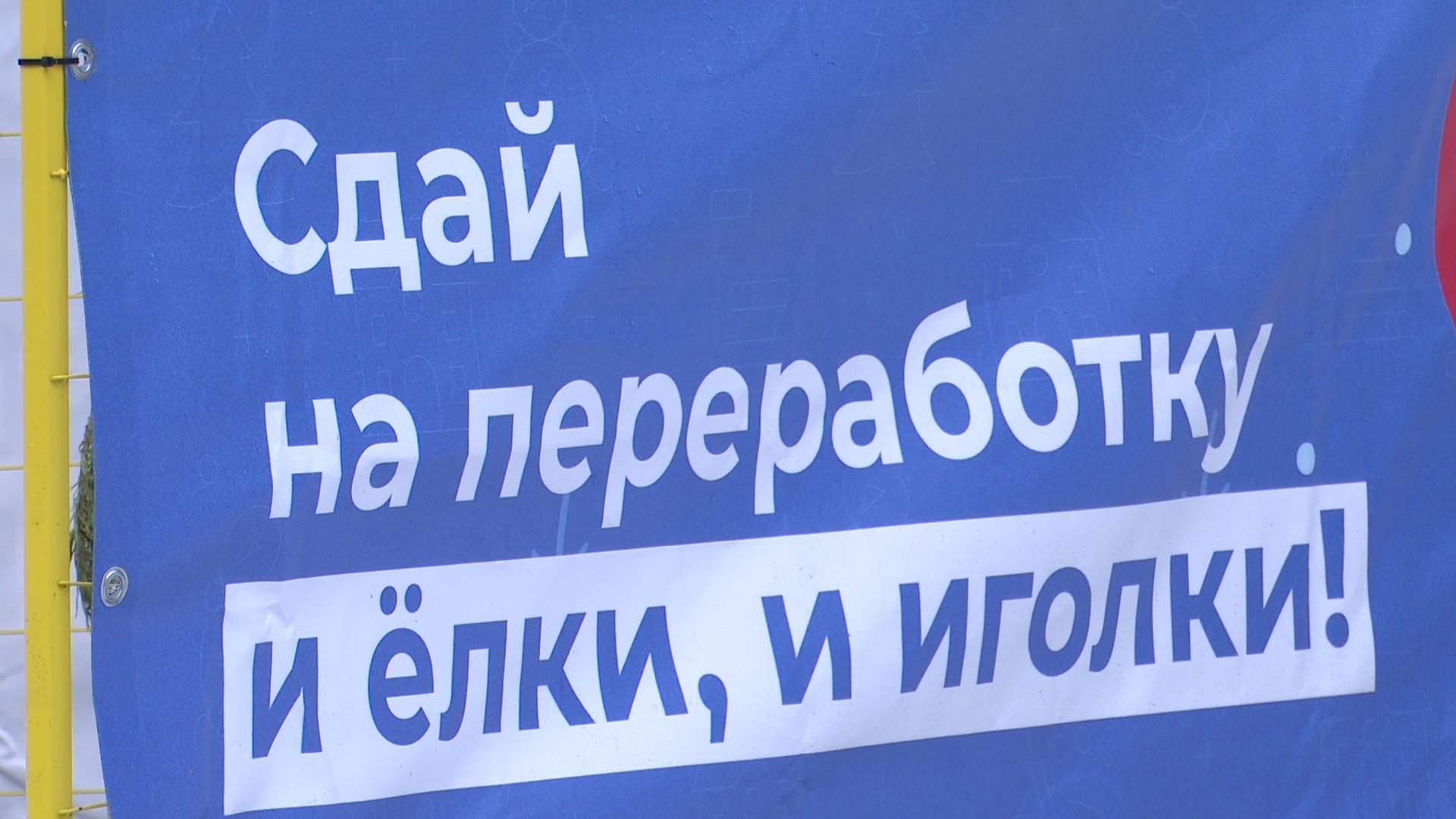 реутов, вертикалки, сбор елок, утиль, переработка, вторая жизнь елке,