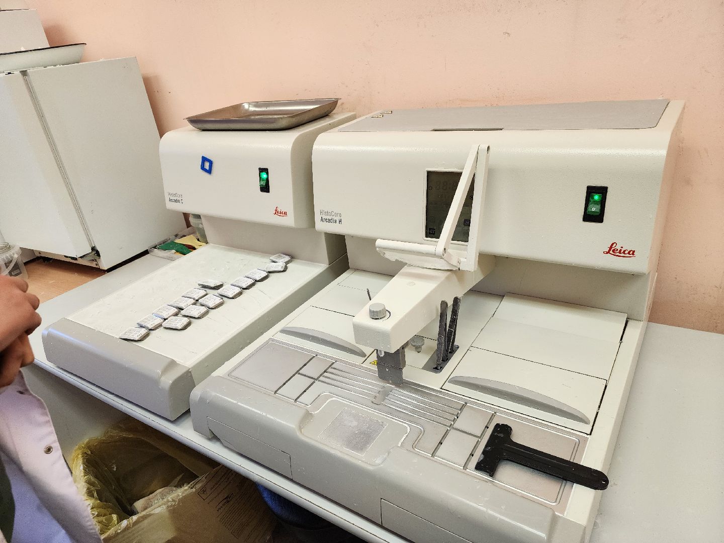 подольск, Патологоанатом, исследования, доктор,