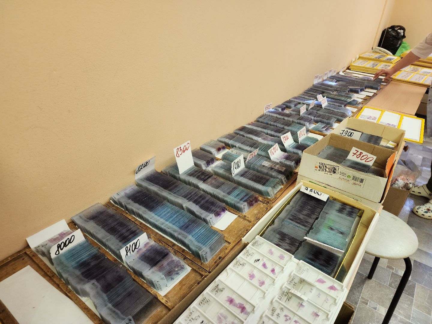 подольск, Патологоанатом, исследования, доктор,