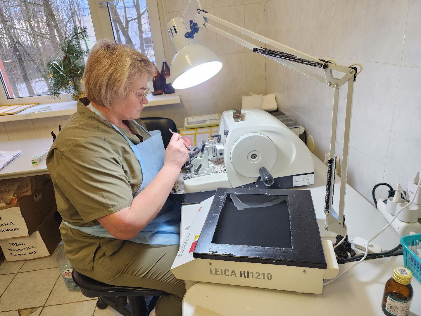 подольск, Патологоанатом, исследования, доктор,