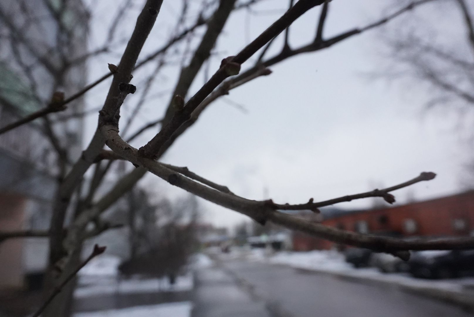 городской округ павловский посад, электрогорск, власть, жители, обращения, выездная администрация, вопросы,