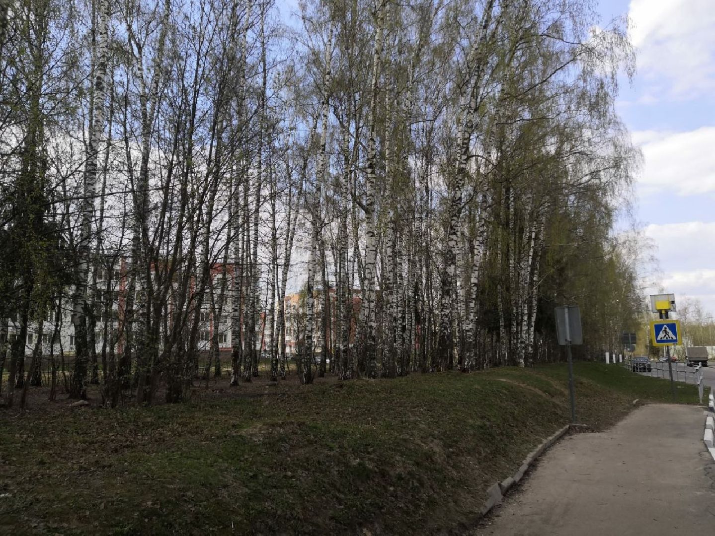 берёзовая роща, дедовск, парк, благоустройство