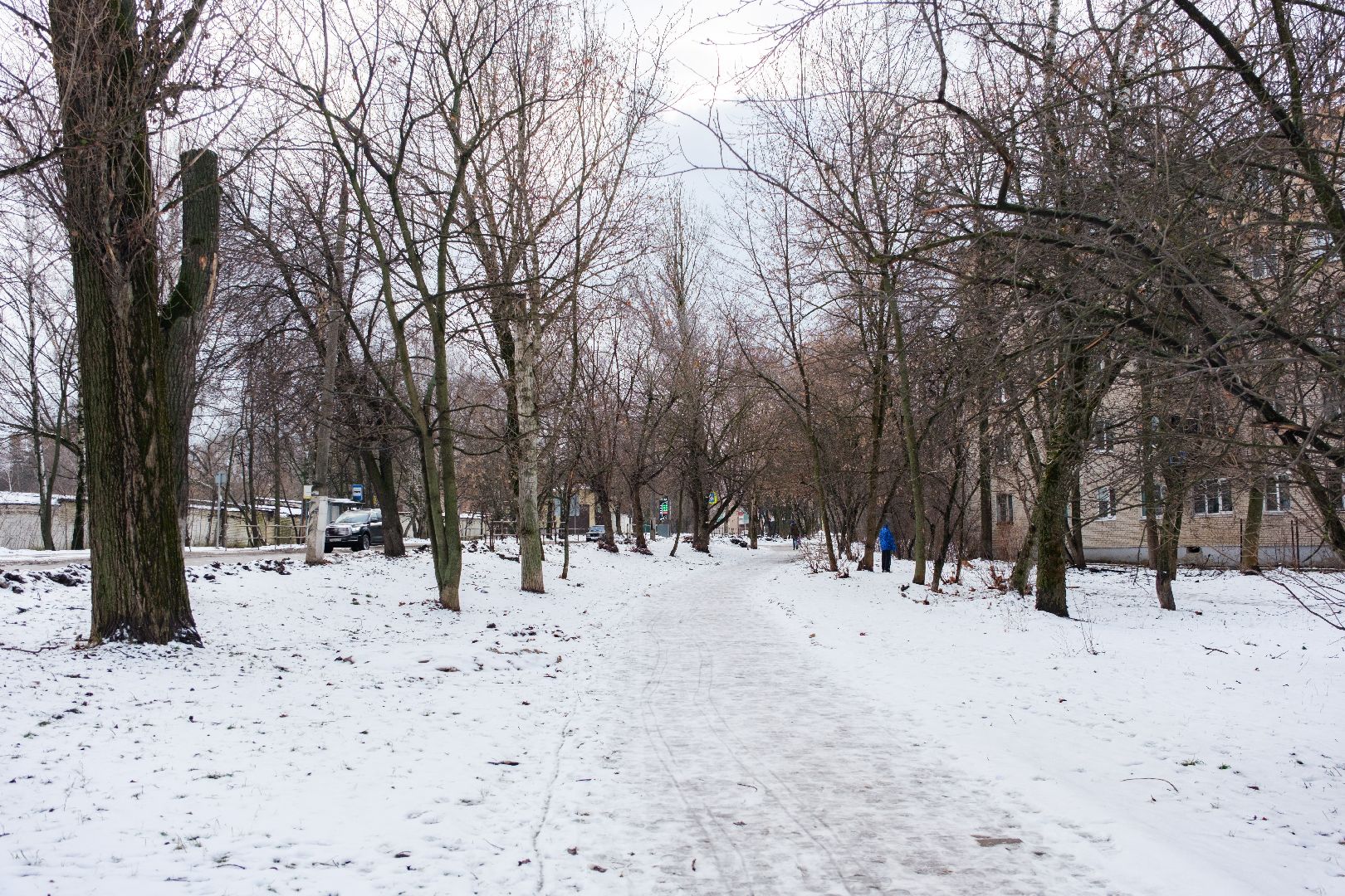 благоустойство, строительство, лыткарино, улица парковая, сквер,