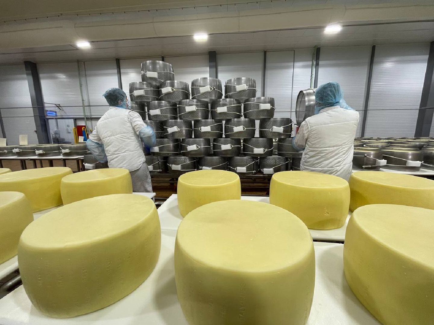 Дмитров, Сырная долина, Завод Сыровар,