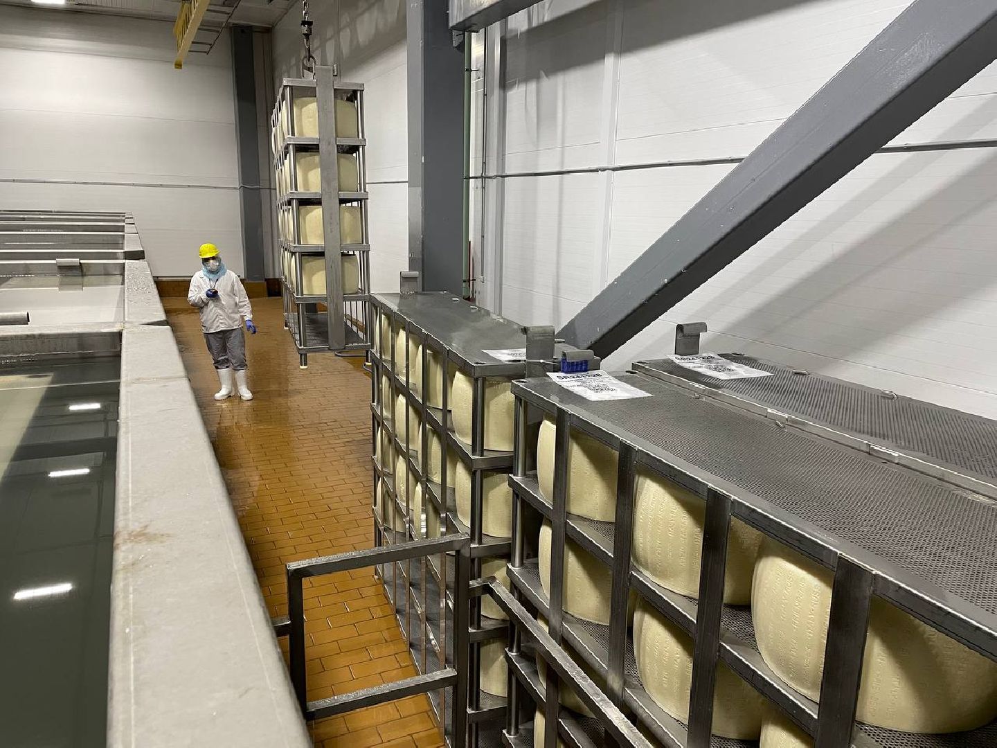 Дмитров, Сырная долина, Завод Сыровар,