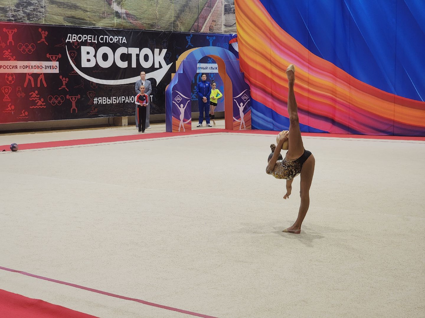 вертикалки, художественная гимнастика, соревнования, спорт в подмосковье, орехово-зуево,