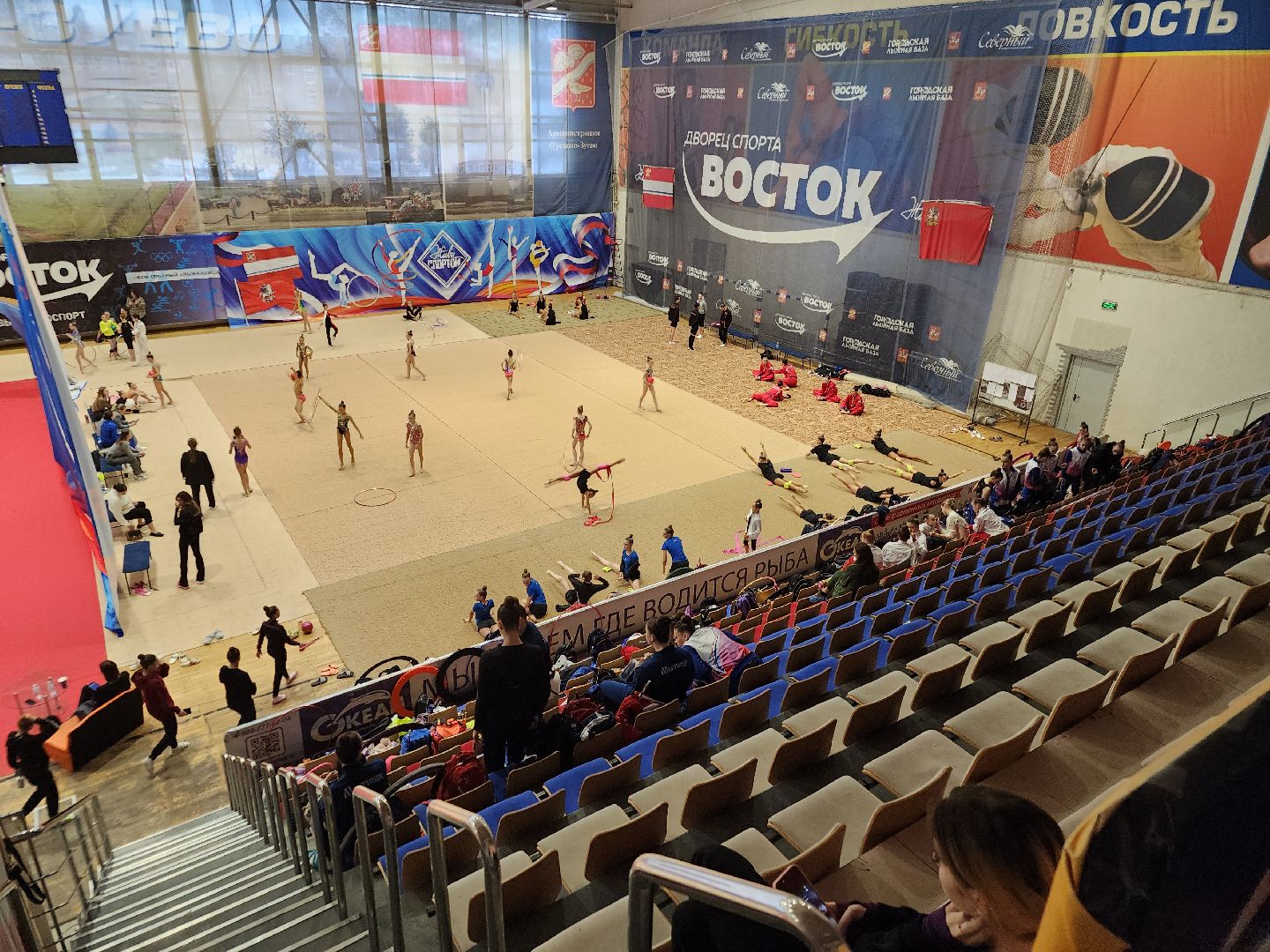 вертикалки, художественная гимнастика, соревнования, спорт в подмосковье, орехово-зуево,