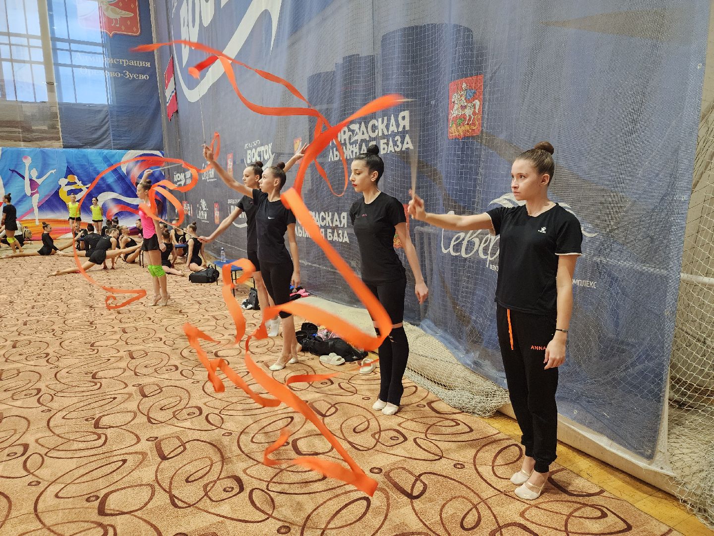 вертикалки, художественная гимнастика, соревнования, спорт в подмосковье, орехово-зуево,