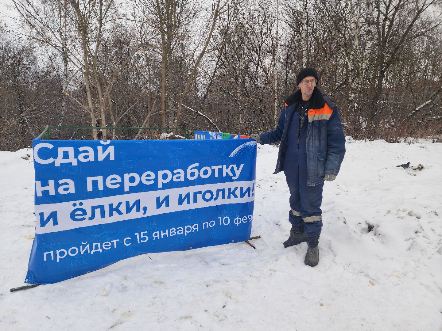 красноармейск, городской округ пушкинский, экоакция, елки на переработку, вертикалки,