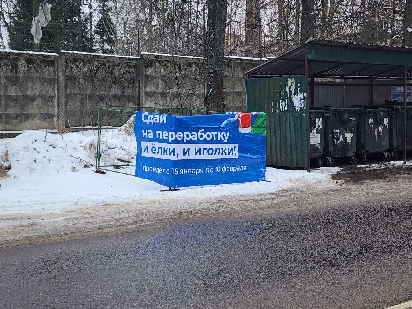 красноармейск, городской округ пушкинский, экоакция, елки на переработку, вертикалки,