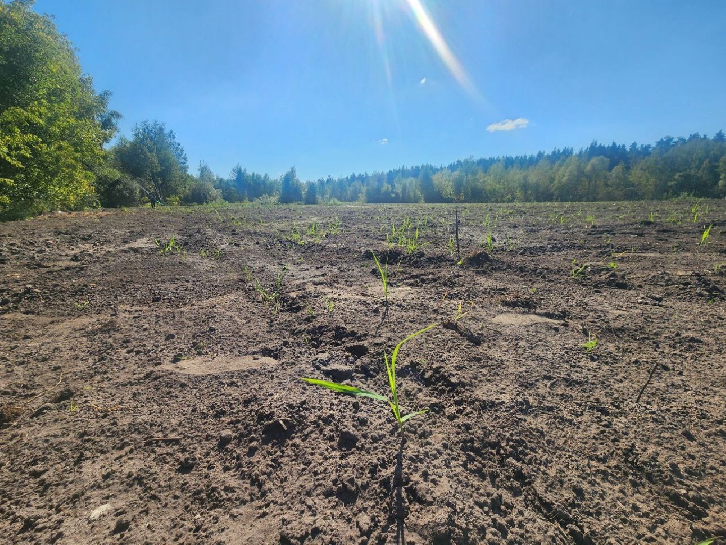 мцур, добродел, шатура,свалка, рейтинг губернатора,