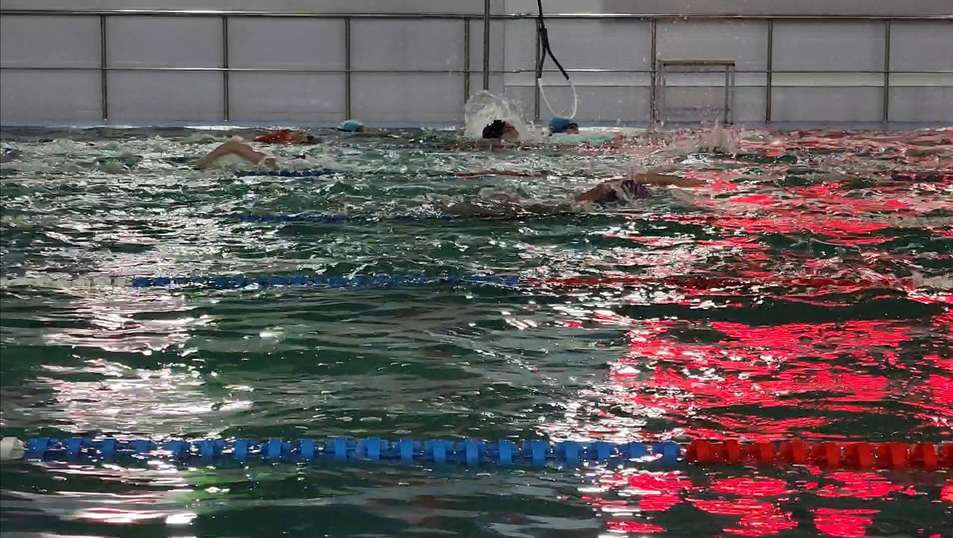 Спорт, Плавание, соревнования, химки,