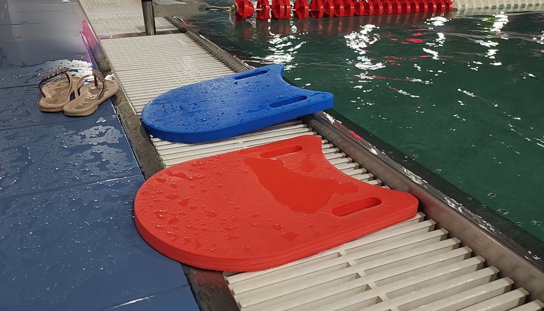 Спорт, Плавание, соревнования, химки,