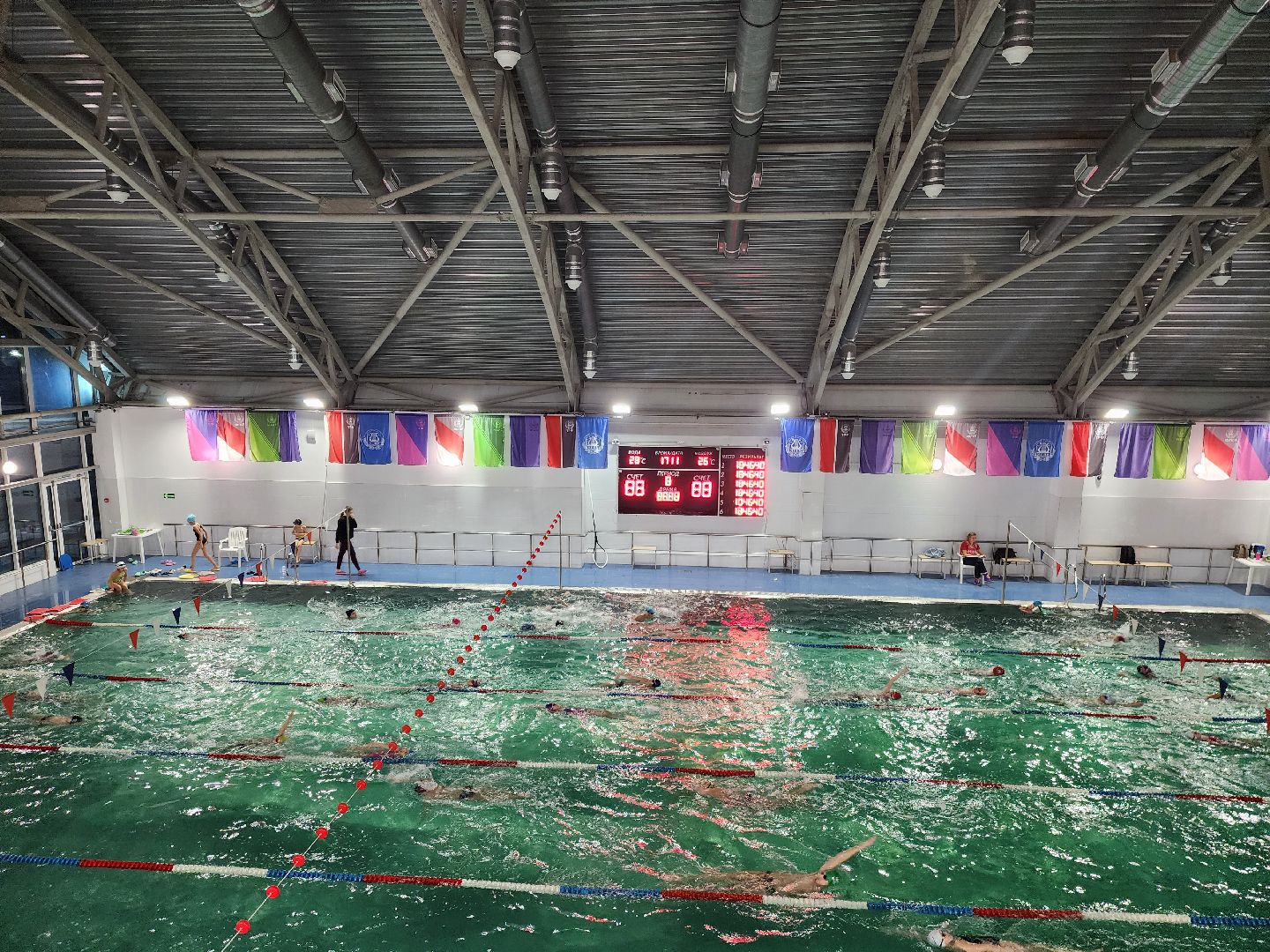 Спорт, Плавание, соревнования, химки,