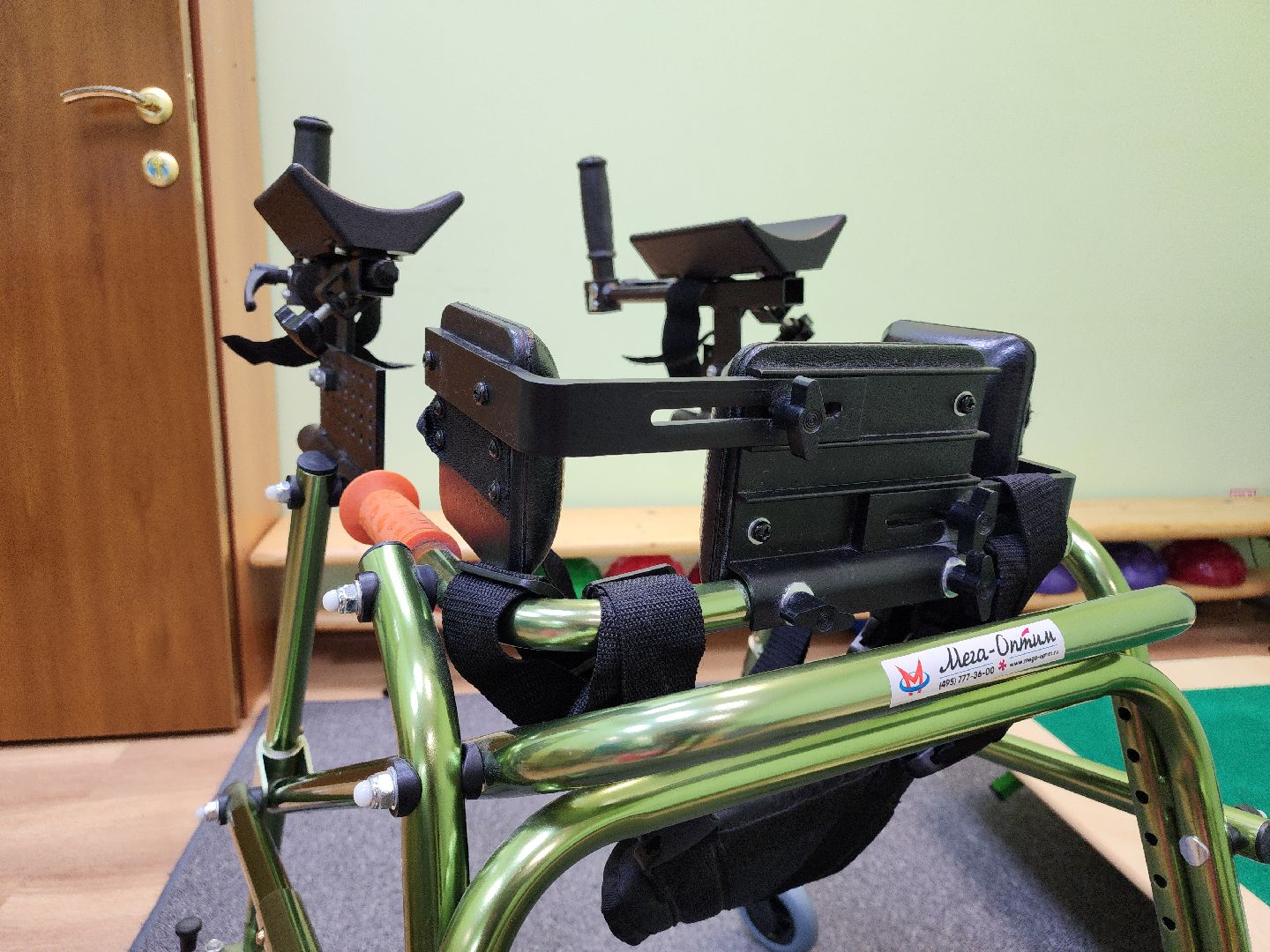 медицина, социальная помощь, инвалидность, дети с овз,