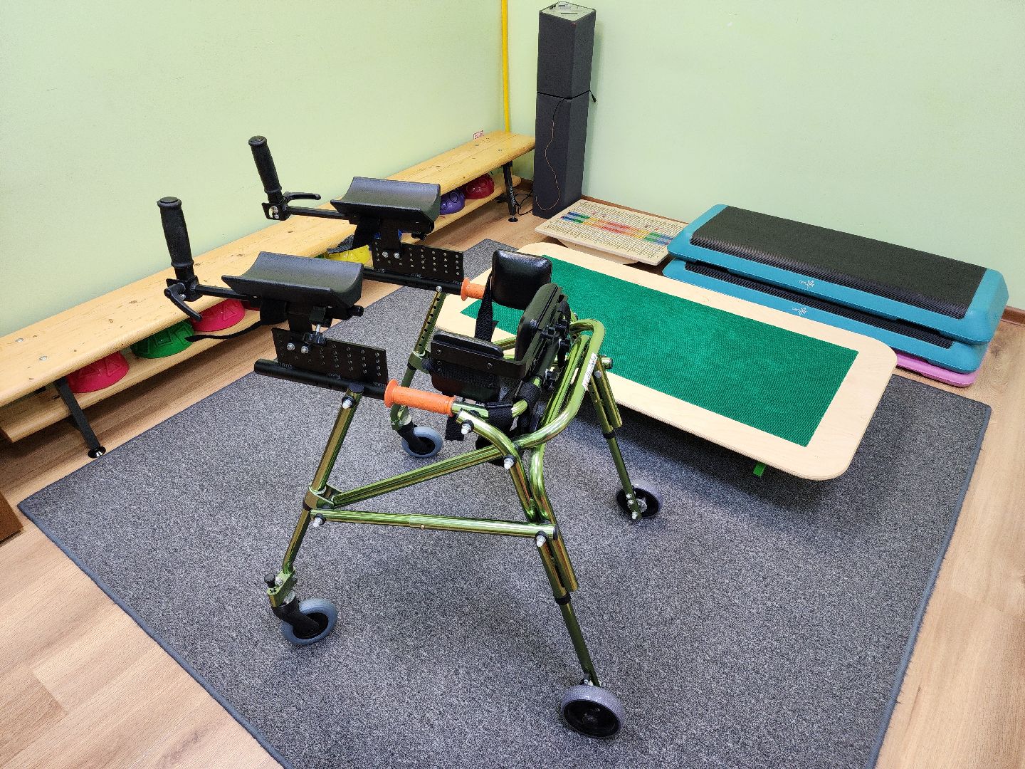 медицина, социальная помощь, инвалидность, дети с овз,