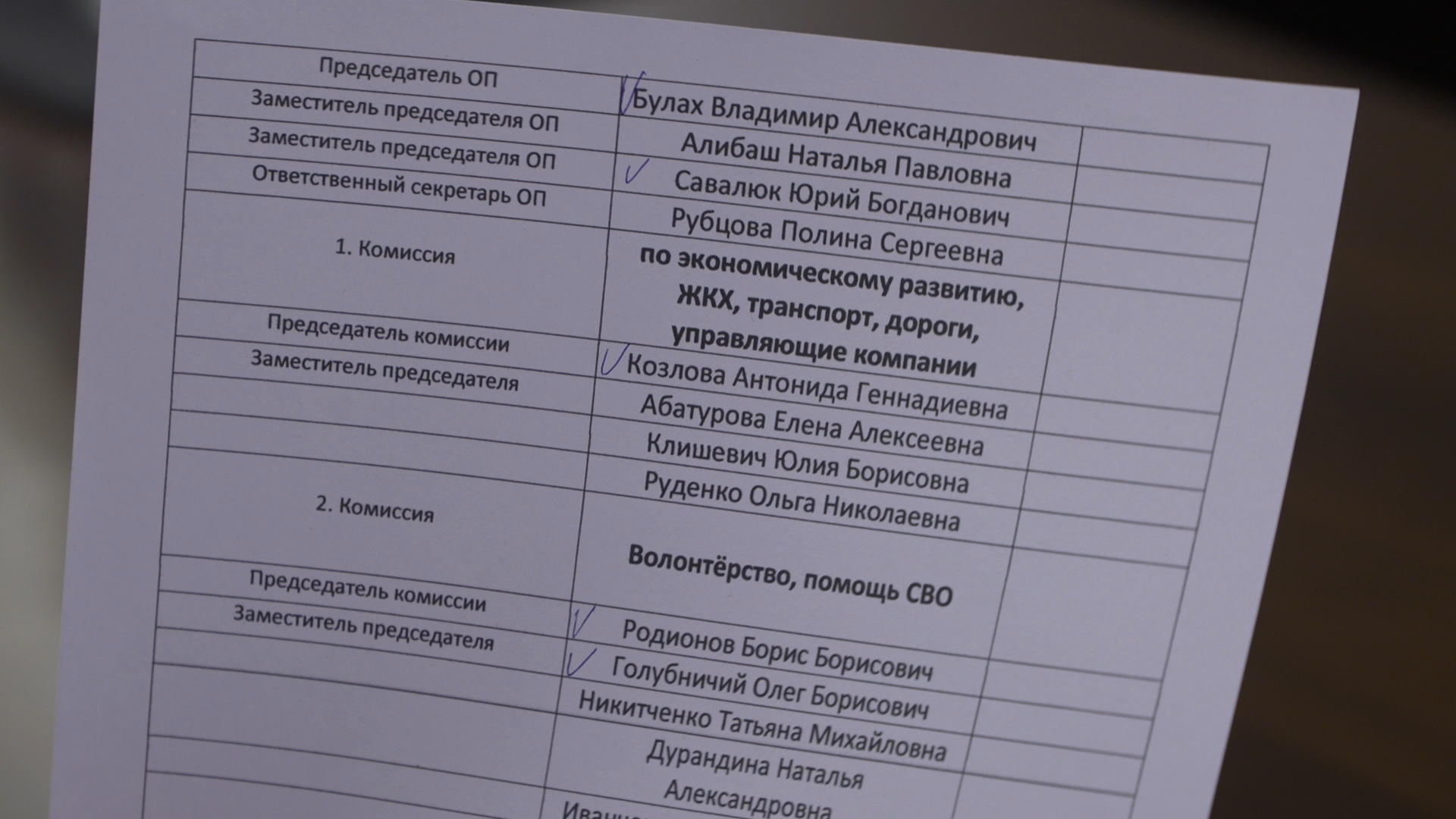 общественная палата власихи, пятый созыв общественной палаты, Власиха общественная палата, пленарное заседание общественной палаты, общественники во Власихе,