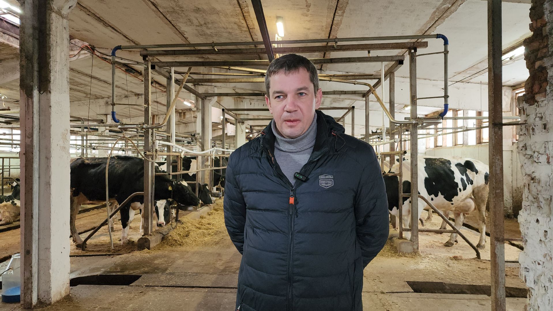 животноводство, производство молока, АО Ногинское, рабочий поселок Обухово, Богородский городской округ,