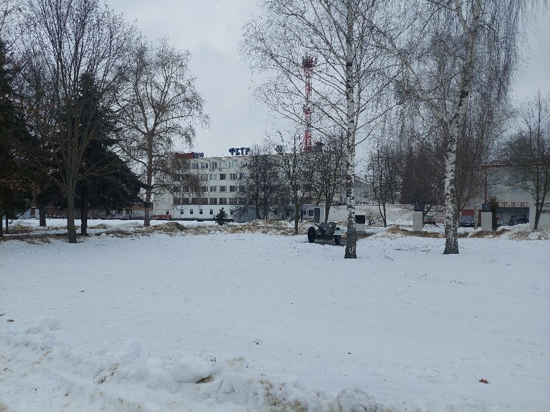 Воскресенск, общество