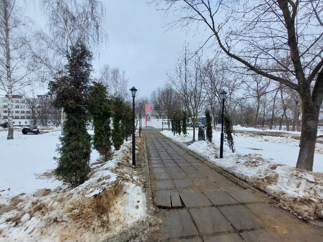 Воскресенск, общество