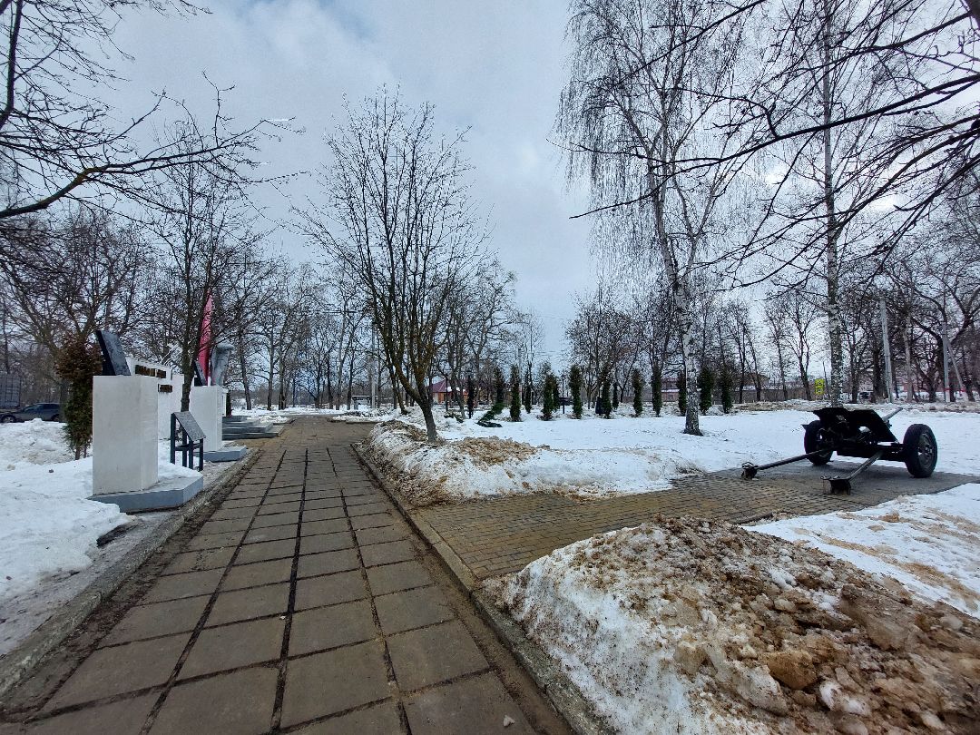 Воскресенск, общество