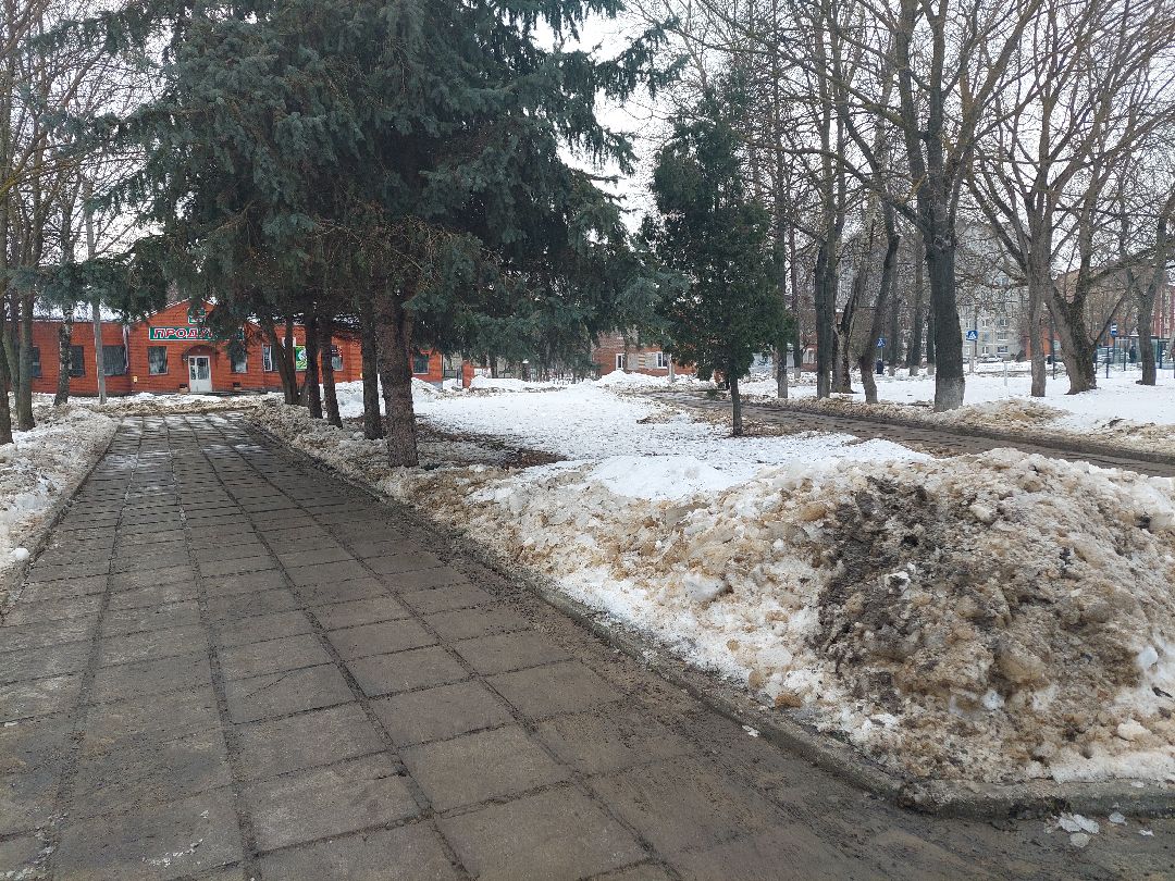 Воскресенск, общество