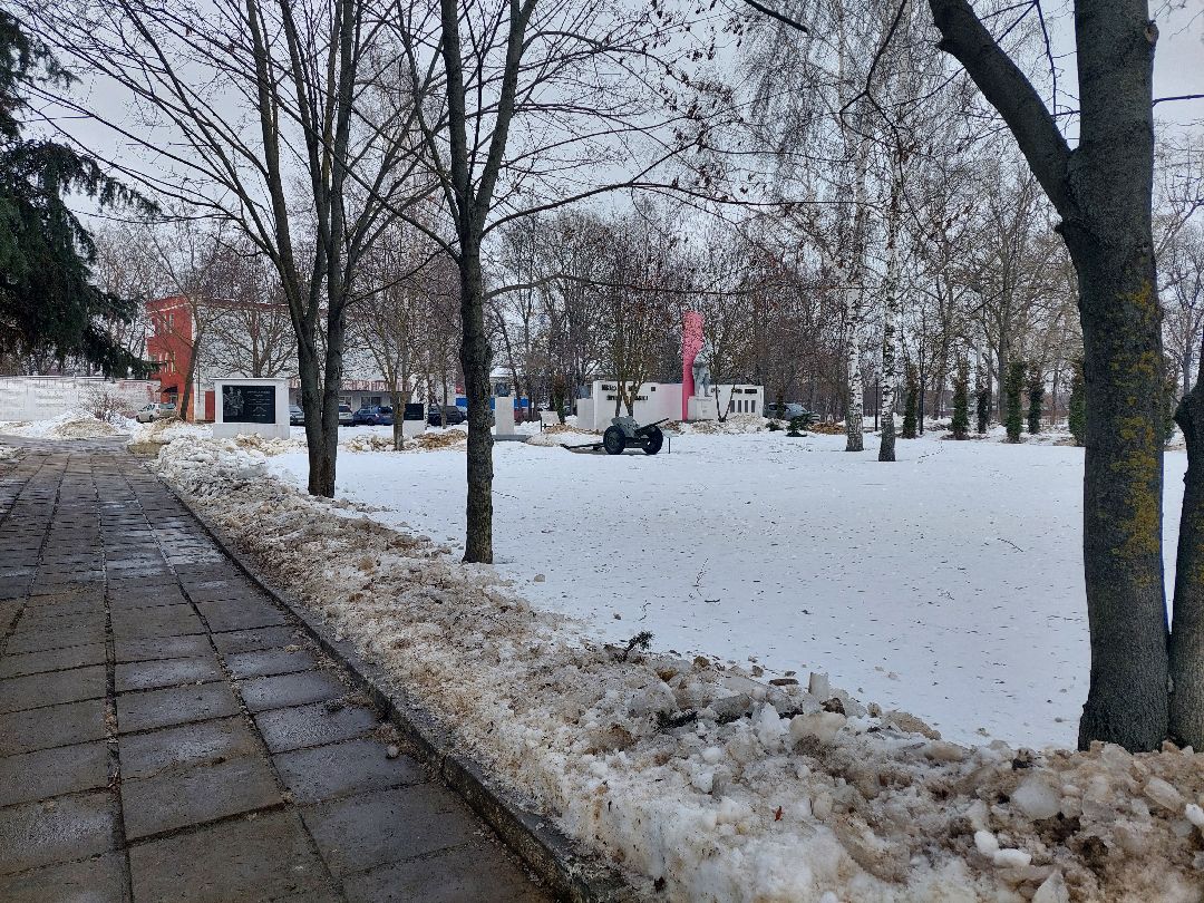 Воскресенск, общество