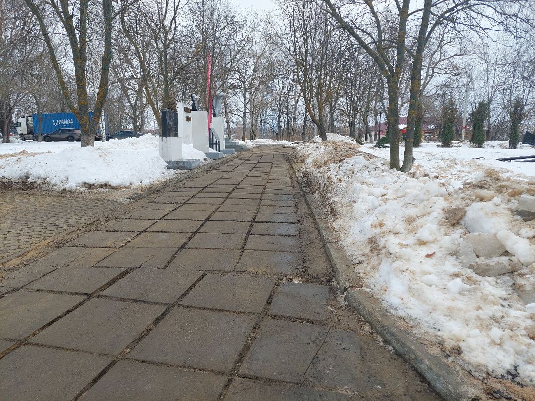 Воскресенск, общество