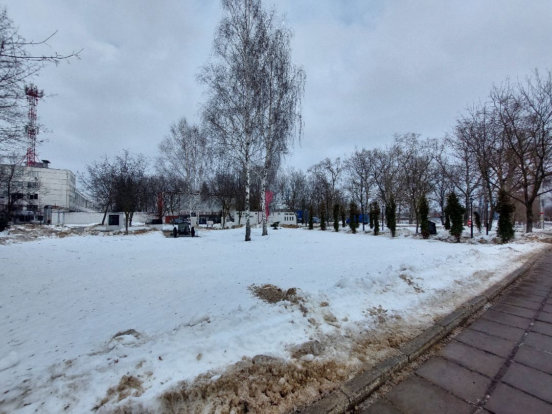 Воскресенск, общество