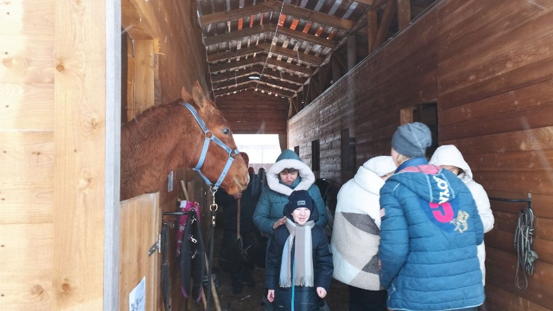 дети, лошади, клуб, иппотерапия, дети с овз, инвалиды, социализация детей, социальная адаптация,
