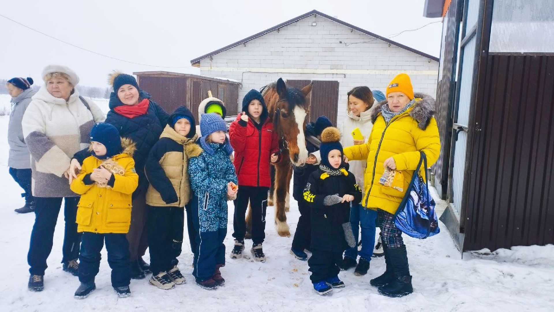 дети, лошади, клуб, иппотерапия, дети с овз, инвалиды, социализация детей, социальная адаптация,
