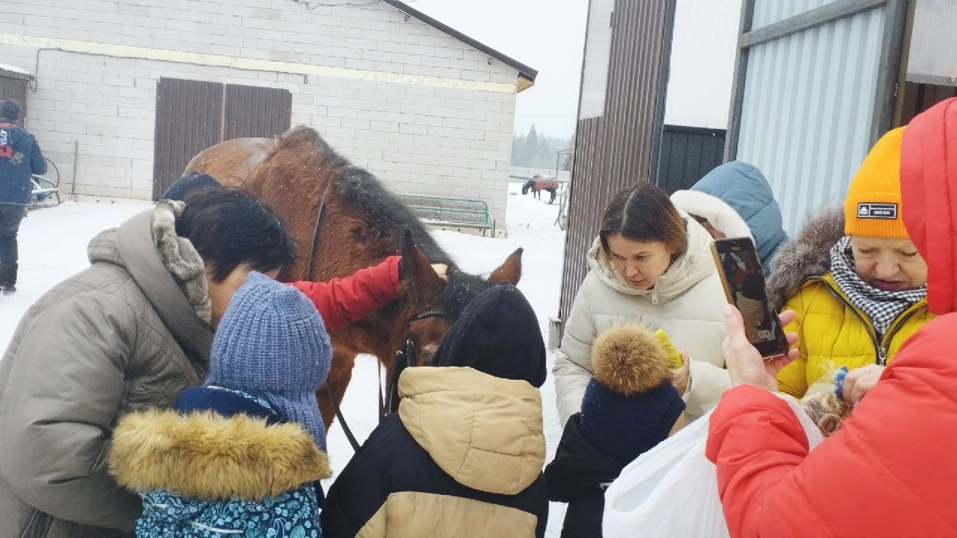 дети, лошади, клуб, иппотерапия, дети с овз, инвалиды, социализация детей, социальная адаптация,