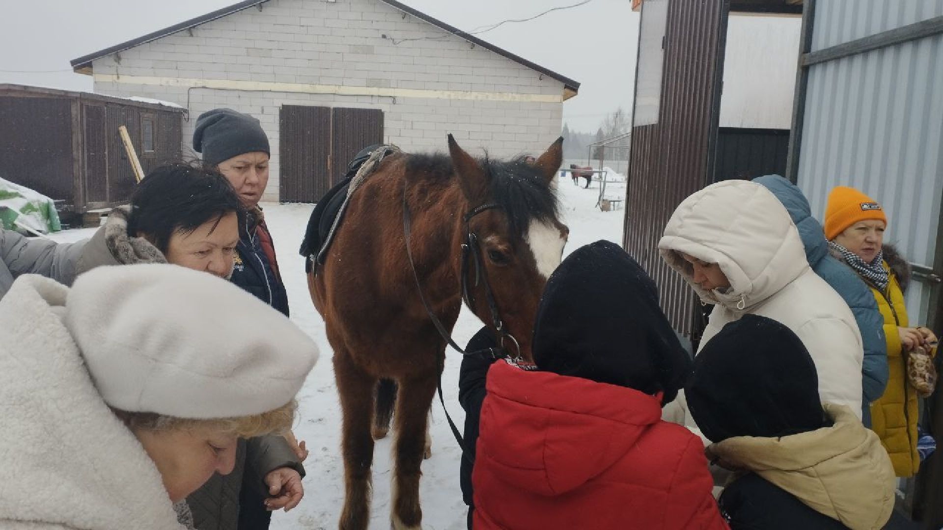 дети, лошади, клуб, иппотерапия, дети с овз, инвалиды, социализация детей, социальная адаптация,