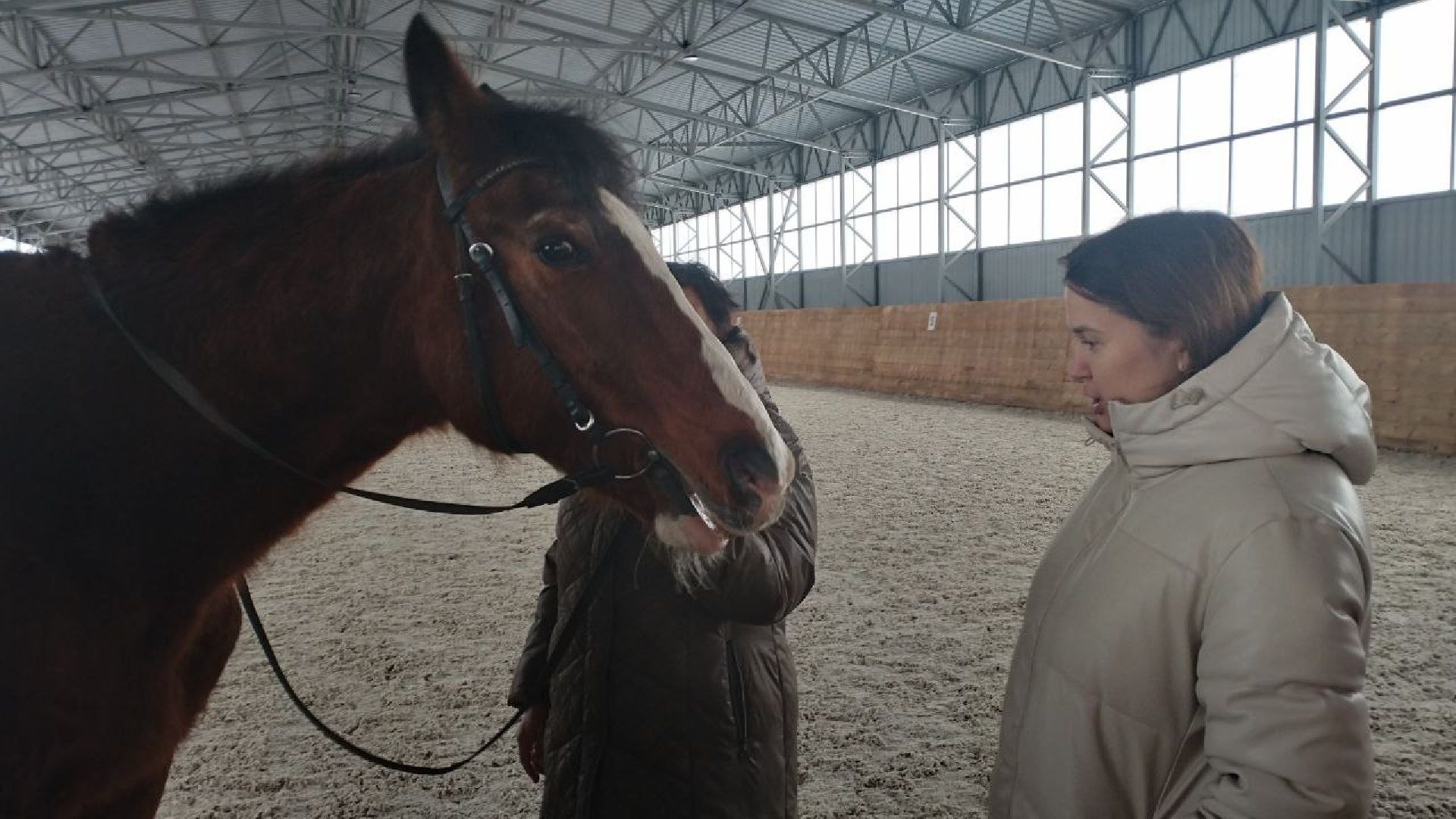 дети, лошади, клуб, иппотерапия, дети с овз, инвалиды, социализация детей, социальная адаптация,