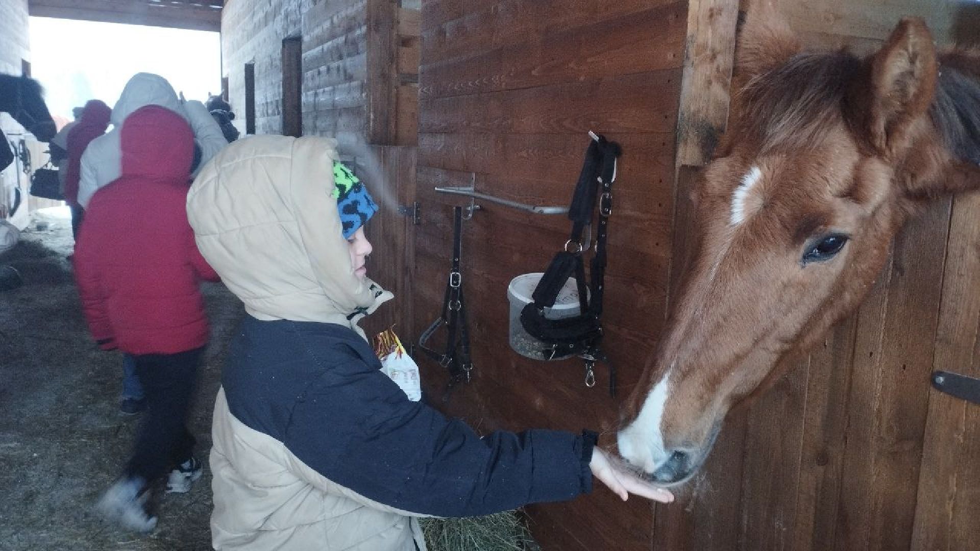 дети, лошади, клуб, иппотерапия, дети с овз, инвалиды, социализация детей, социальная адаптация,