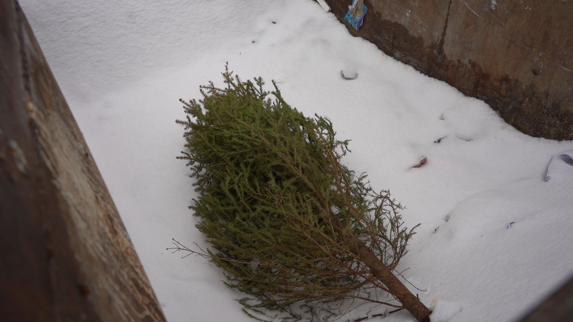 Егорьевск, Подмосковье, Московская область,