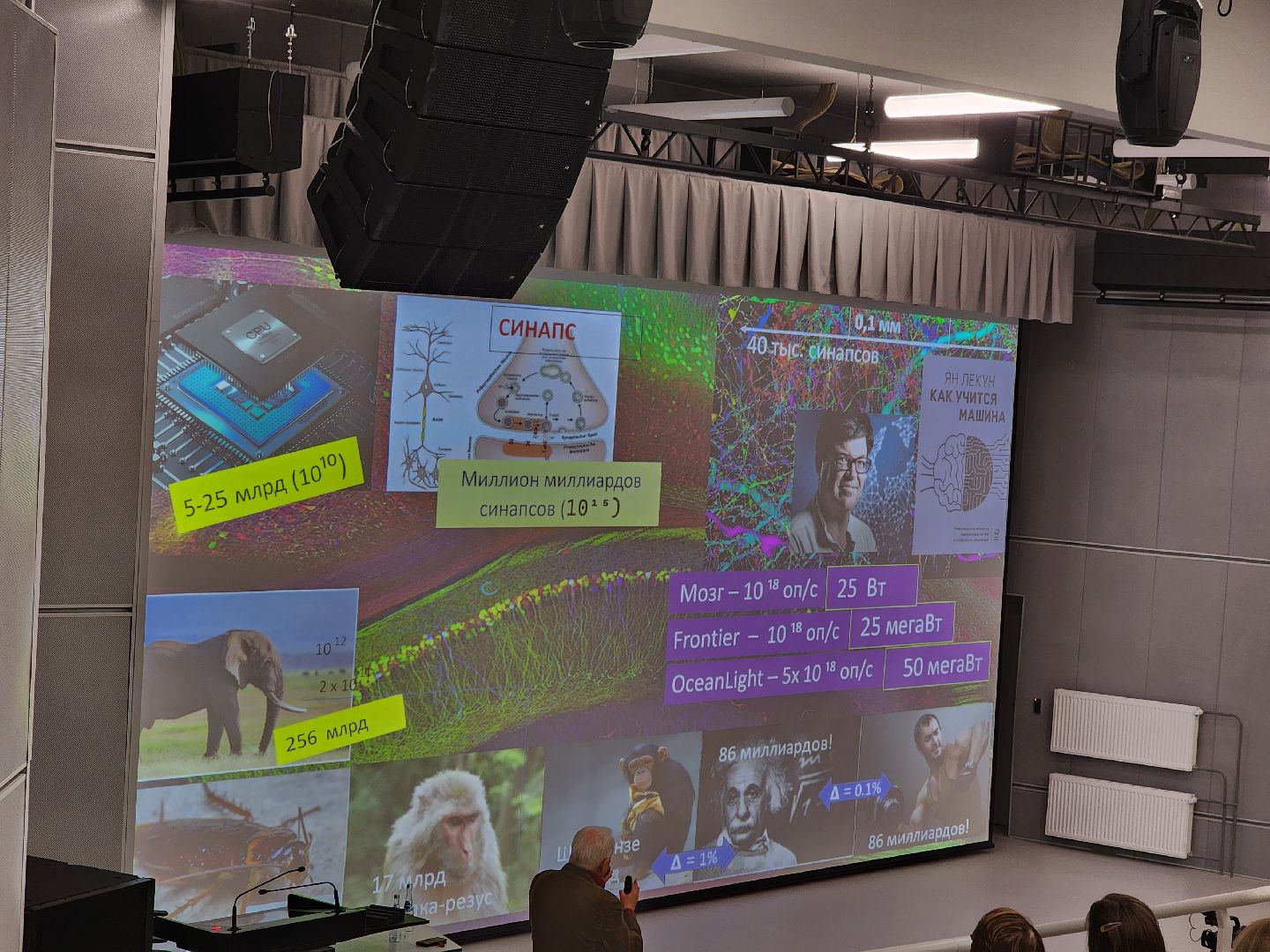 долгопрудный, физтех-лицей, технопарк, александр каплан, научный лекторий, тайны мозга, вертикалки,