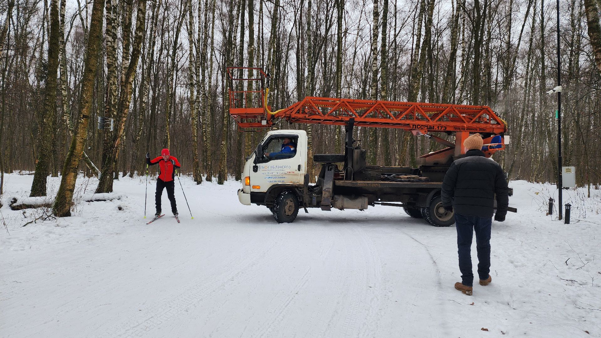 парк, парк городской лес, домодедово, жкх, благоустройство, подмосковье,