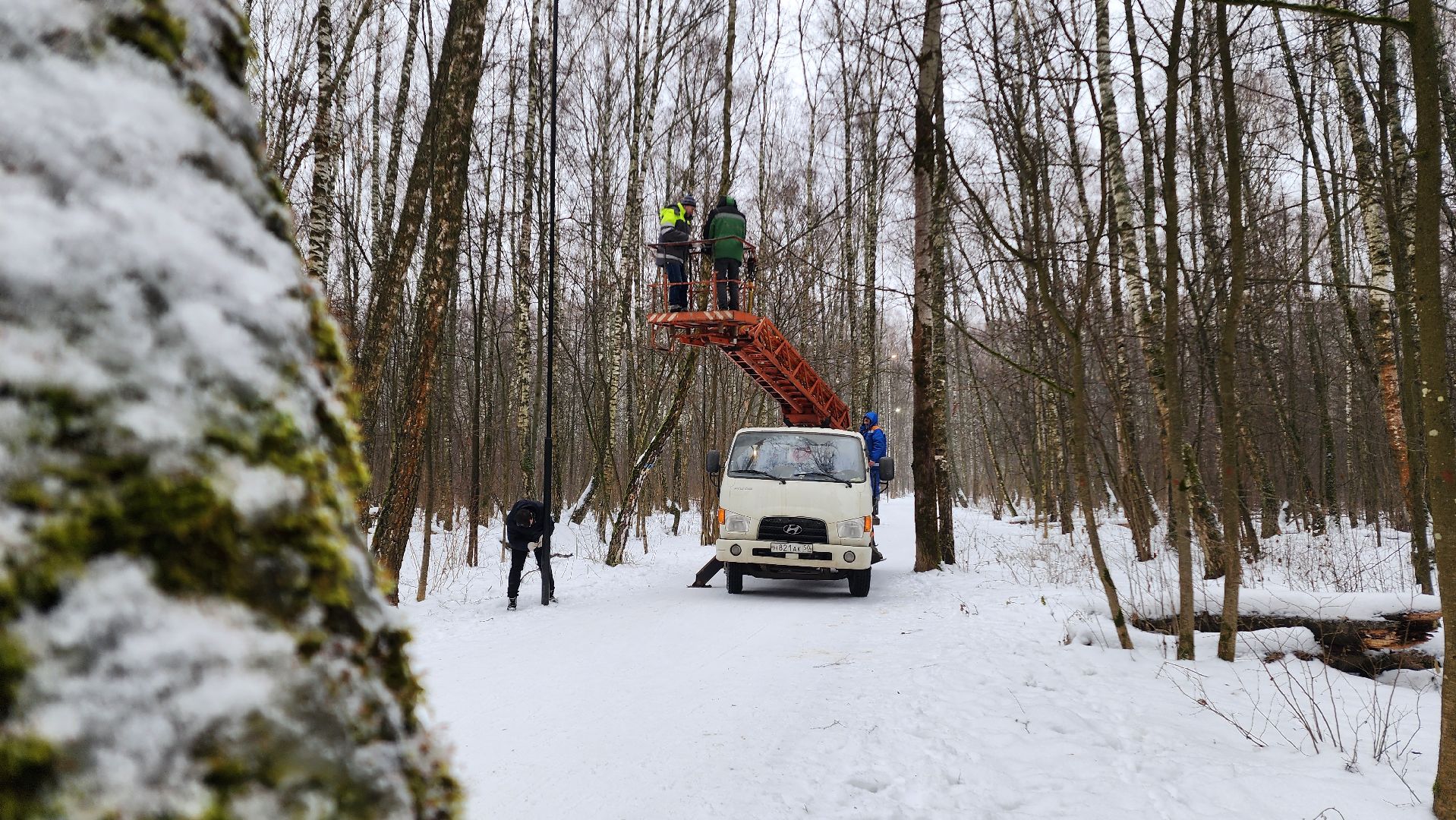 парк, парк городской лес, домодедово, жкх, благоустройство, подмосковье,