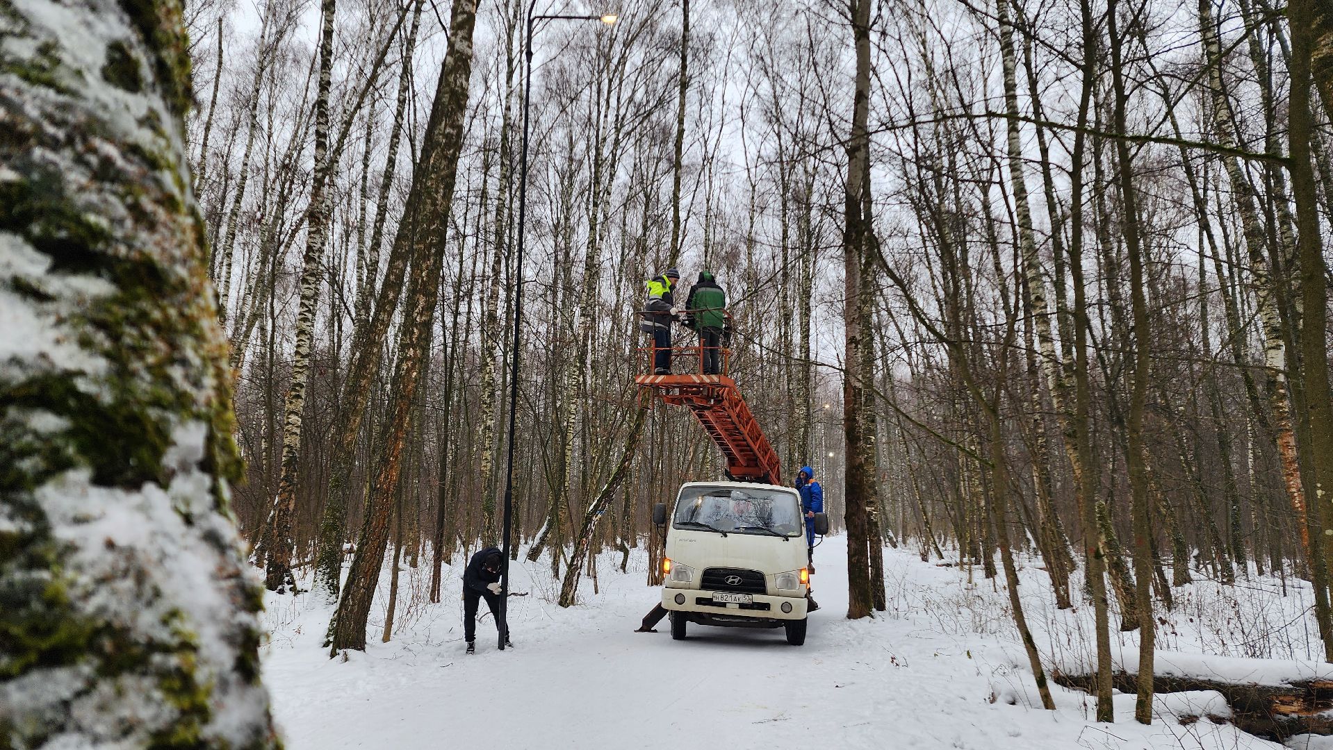 парк, парк городской лес, домодедово, жкх, благоустройство, подмосковье,