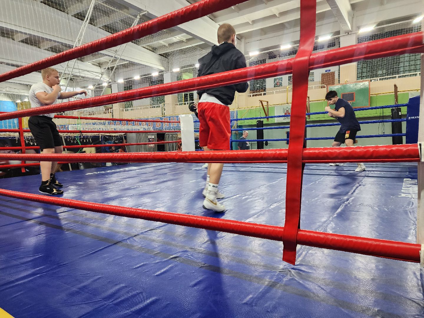 бокс, спорт в шатуре, соревнования по боксу,