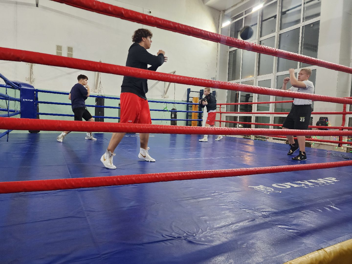 бокс, спорт в шатуре, соревнования по боксу,