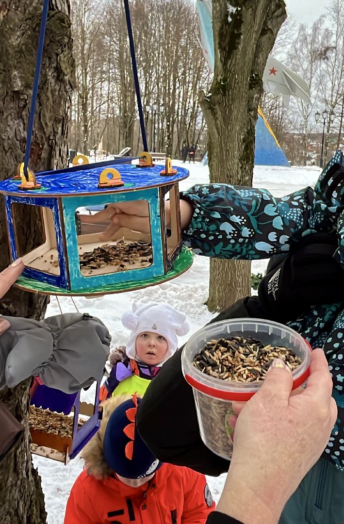 вертикалки, наро-фоминск, наро-фоминский городской округ, покорми птиц зимой, экологическая акция,вертикалка,