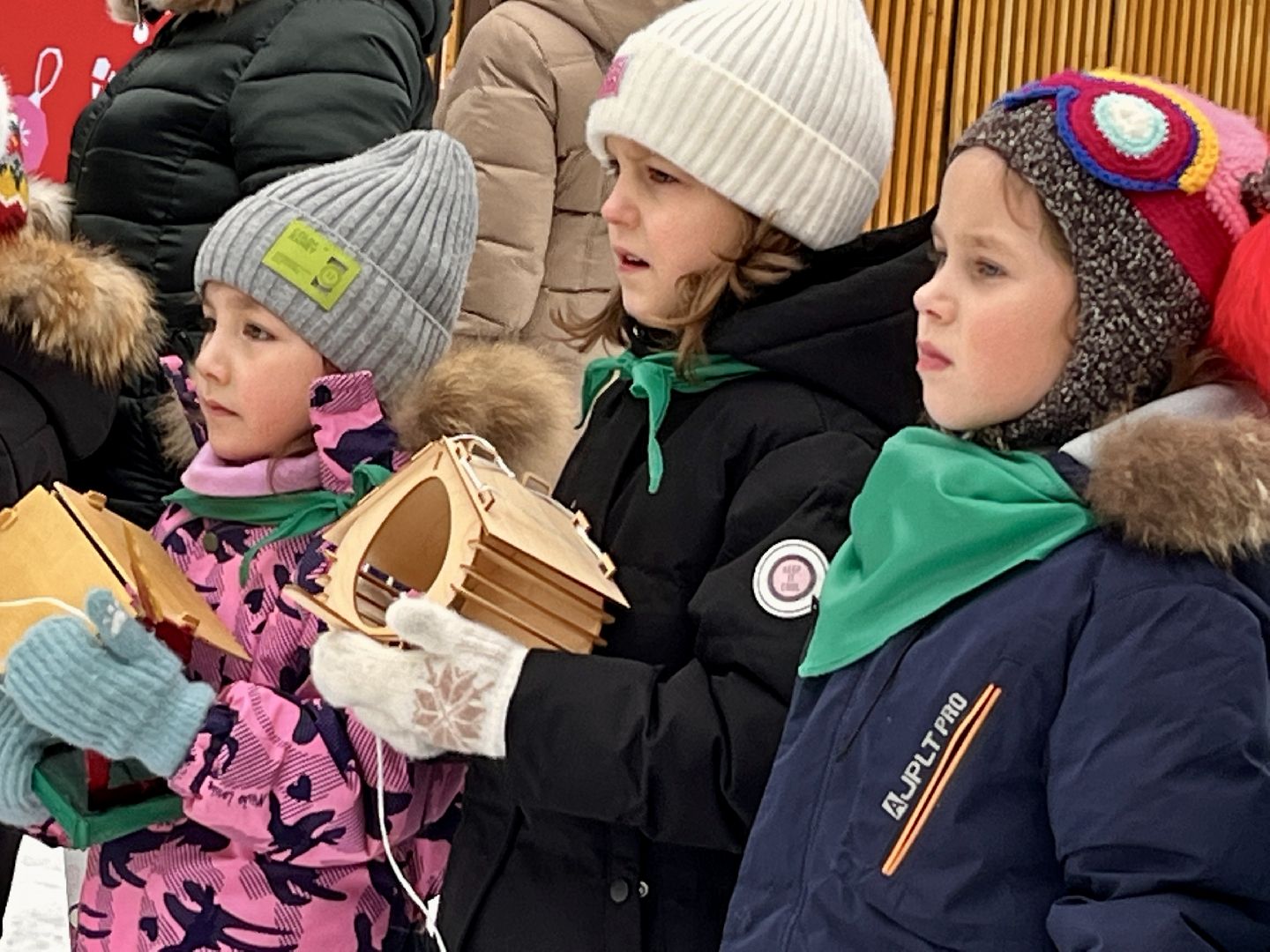 вертикалки, наро-фоминск, наро-фоминский городской округ, покорми птиц зимой, экологическая акция,вертикалка,