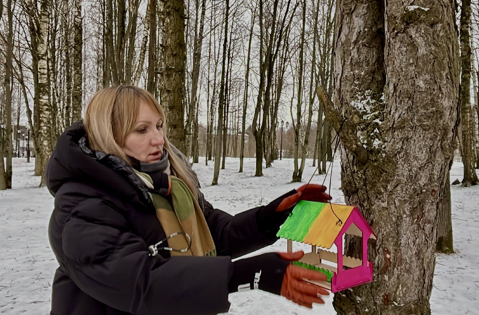 вертикалки, наро-фоминск, наро-фоминский городской округ, покорми птиц зимой, экологическая акция,вертикалка,